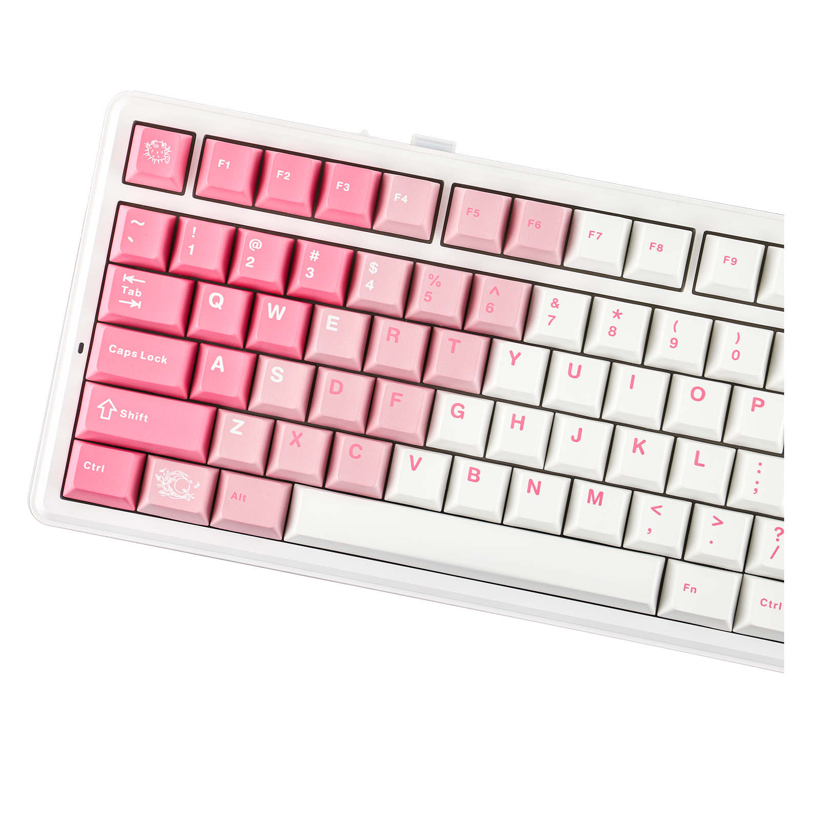 EPOMAKER X AULA F75 Max